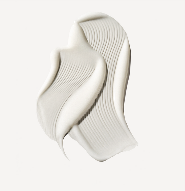 Nº.5 LEAVE-IN MOISTURIZE & MEND LEAVE-IN CONDITIONER - alternate view