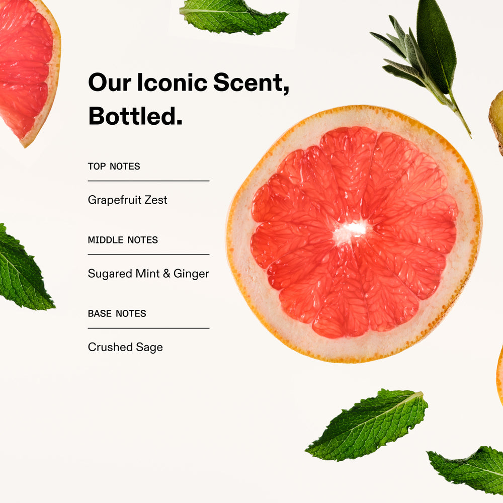 hover 
Scent notes graphic featuring a sliced grapefruit, ginger, mint, and sage. Text overlay reads: "Our Iconic Scent, Bottled. Top Notes: Grapefruit Zest. Middle Notes: Sugared Mint & Ginger. Base Notes: Crushed Sage. - alternate view